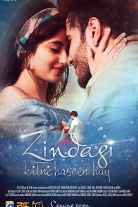 Zindagi Kitni Haseen Hay (2016) Urdu Full Movie 480p 720p 1080p Download
