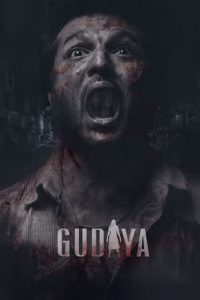 Gudiya (2023) Punjabi CHTV WEB-DL  Full Movie 480p 720p 1080p